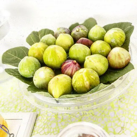 Arneo Terra Del Sole Nocleg ze śniadaniem 4*